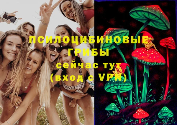 PSILOCYBIN Пестово